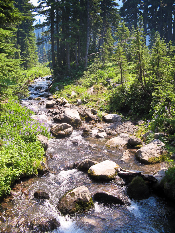 Whitewater Creek