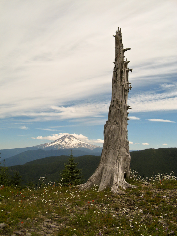 Mount Hood