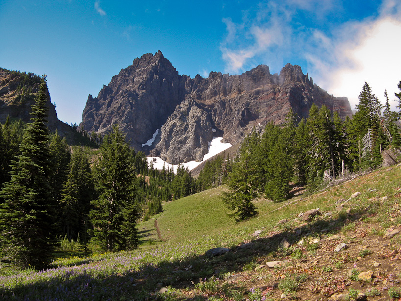 Three Fingered Jack 