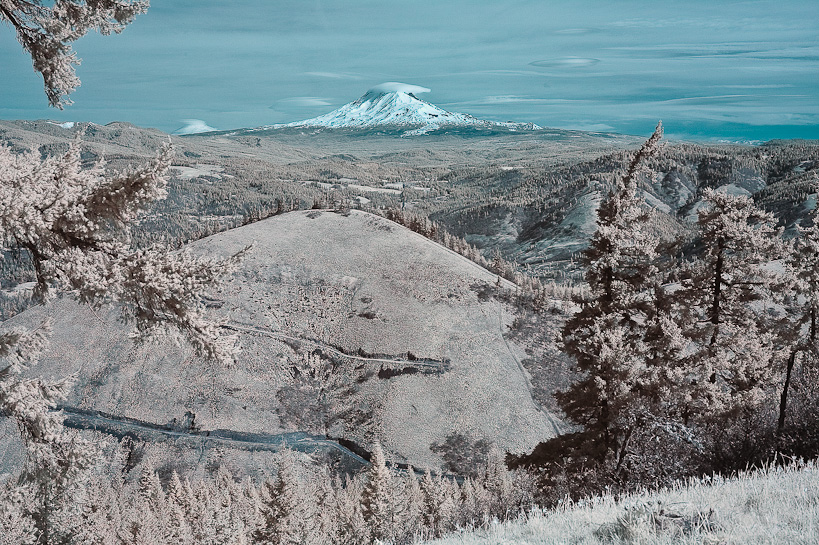 Mount Adams from Hood River Mountain