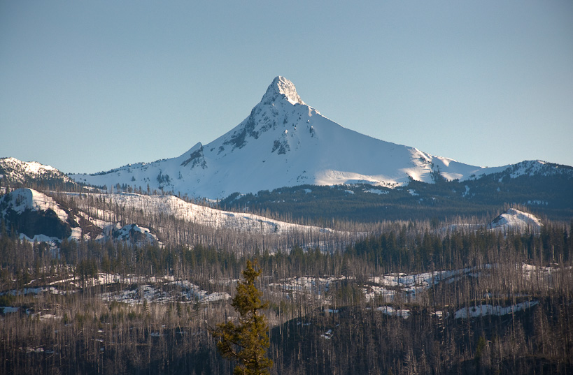 Mount Washington from Santiam Pass