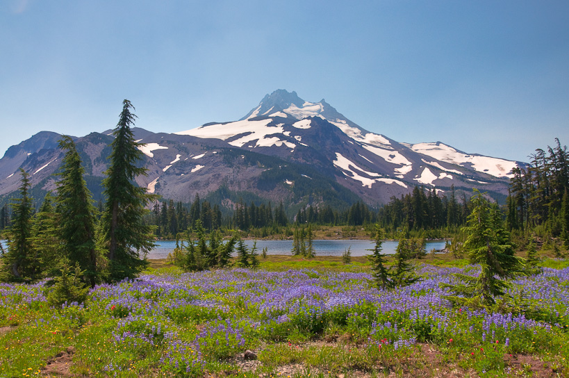 Mt. Jefferson over Russell Lake