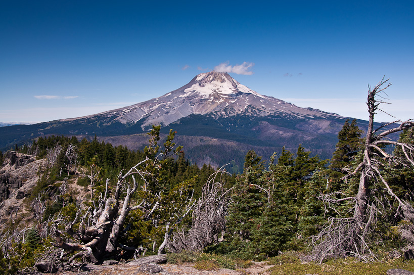 Mt. Hood from Lookout Mountain