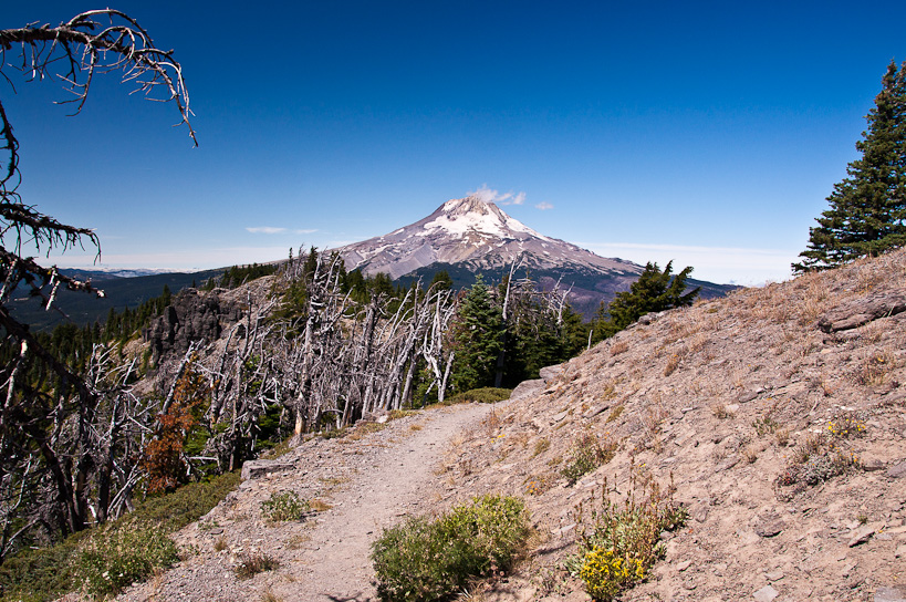 Mt. Hood from Lookout Mountain