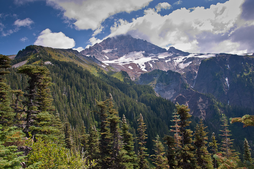 Mt. Hood from McNeil Point Trail