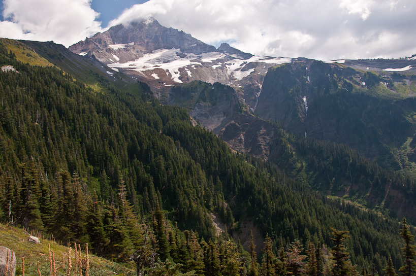 Mt. Hood from McNeil Point Trail