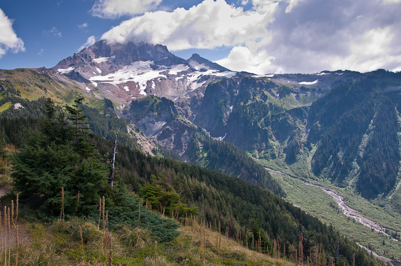 Mt. Hood from McNeil Point Trail