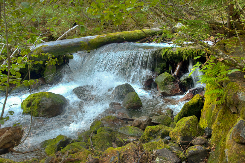 Tamanawas Creek