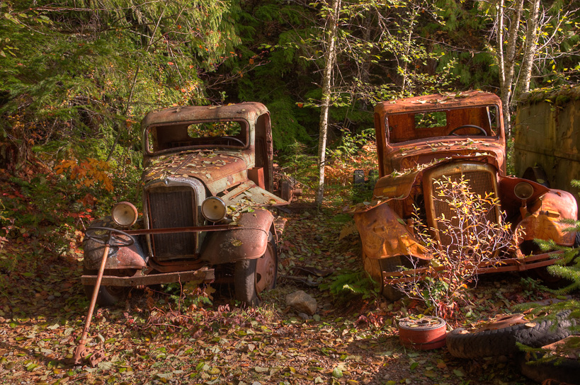 Derelict Trucks