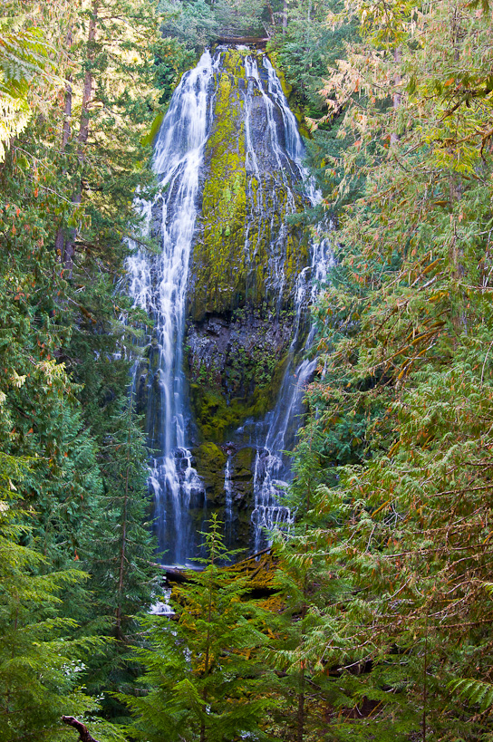 Lower Proxy Falls