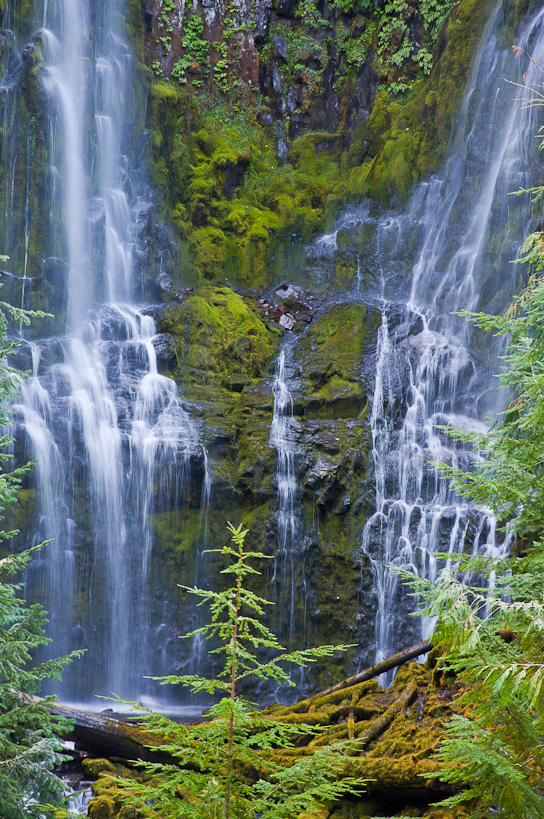 Lower Proxy Falls