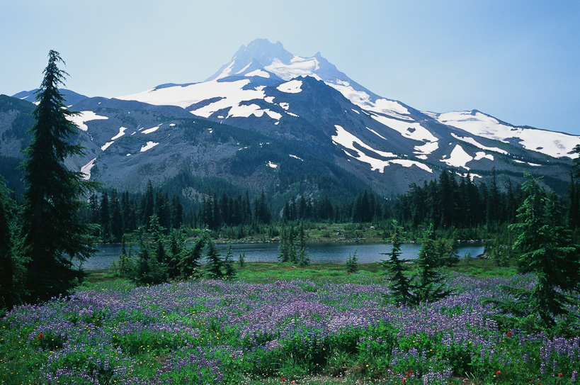 Mt Jefferson from Russell Lake