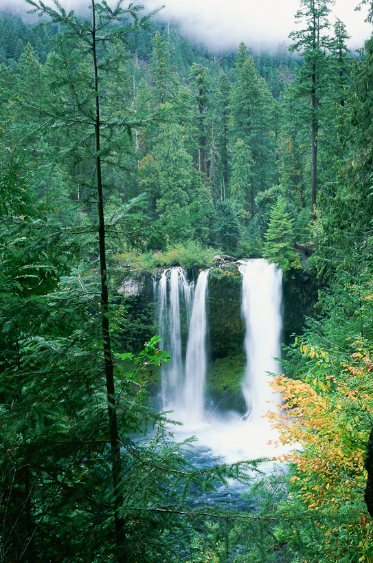 Koosah Falls