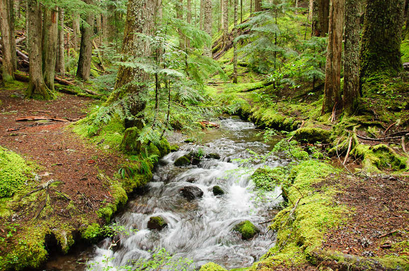 Ramona Creek