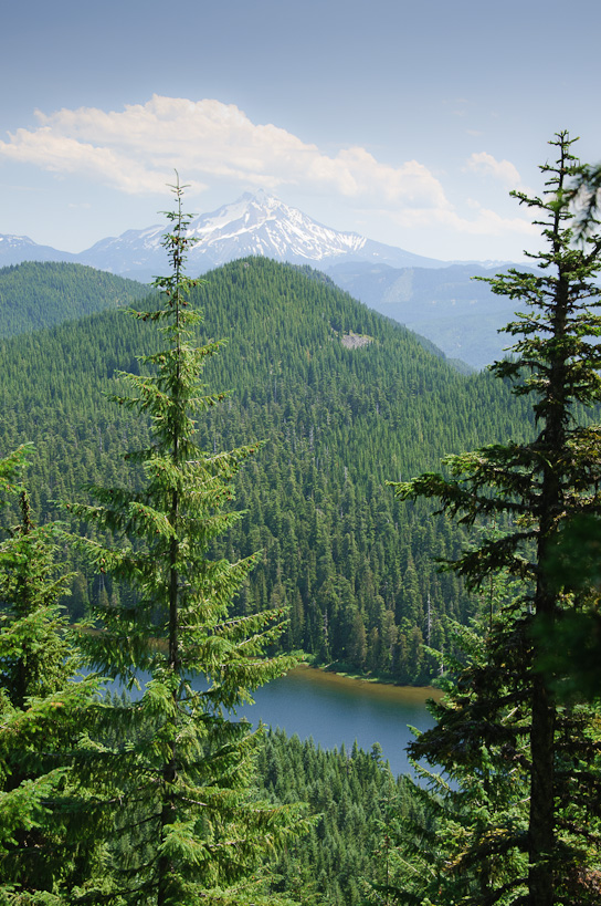 Mt. Jefferson over Elk Lake