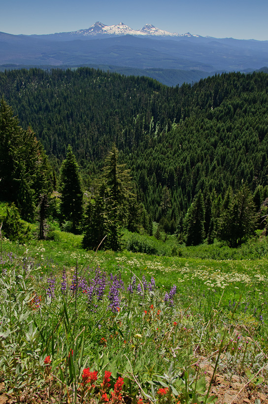 Three Sisters from Browder Ridge