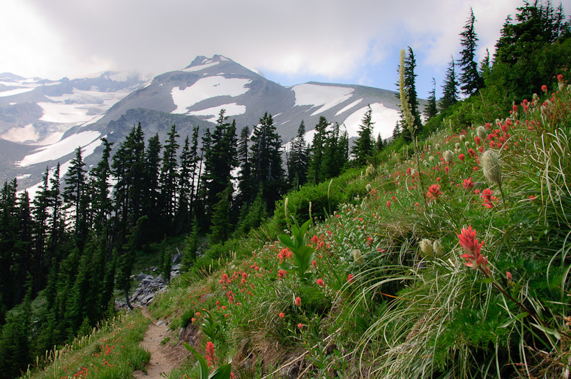 Mt. Hood near Dollar Lake