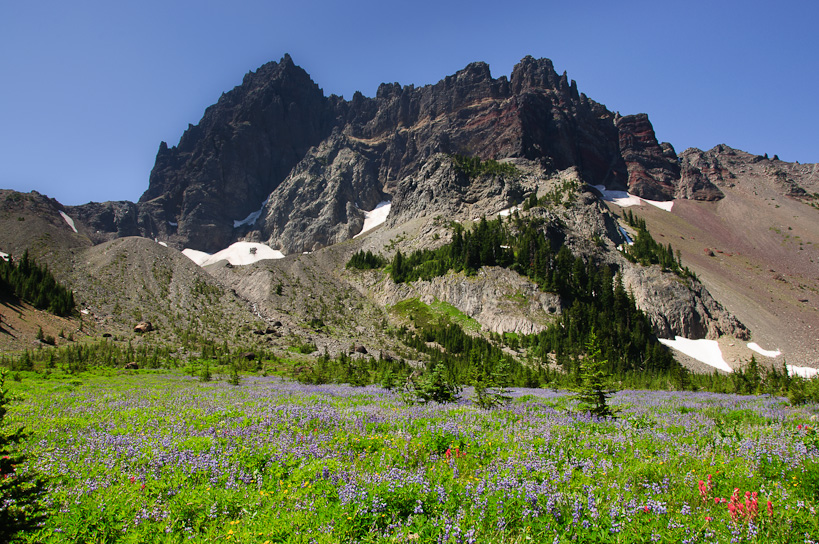 Three Fingered Jack from Canyon Creek Upper Meadow