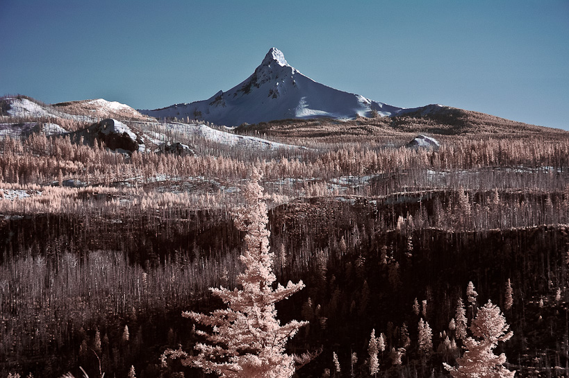 Mount Washington from Santiam Pass