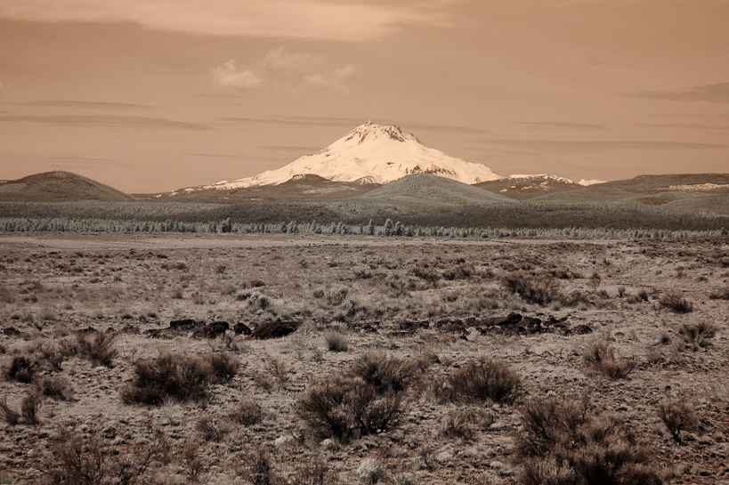 Mt Jefferson from Warm Springs Reservation