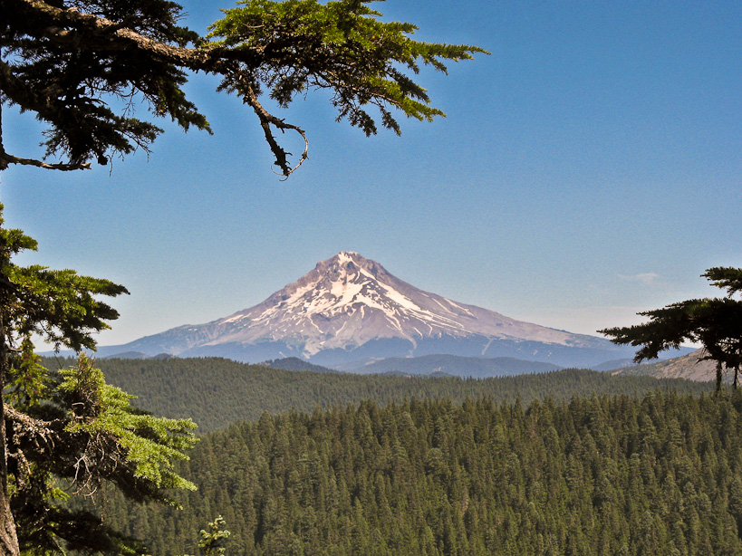 Mount Hood from Grouse Point trail