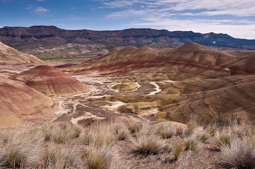 Painted Hills from Carroll Rim Trail