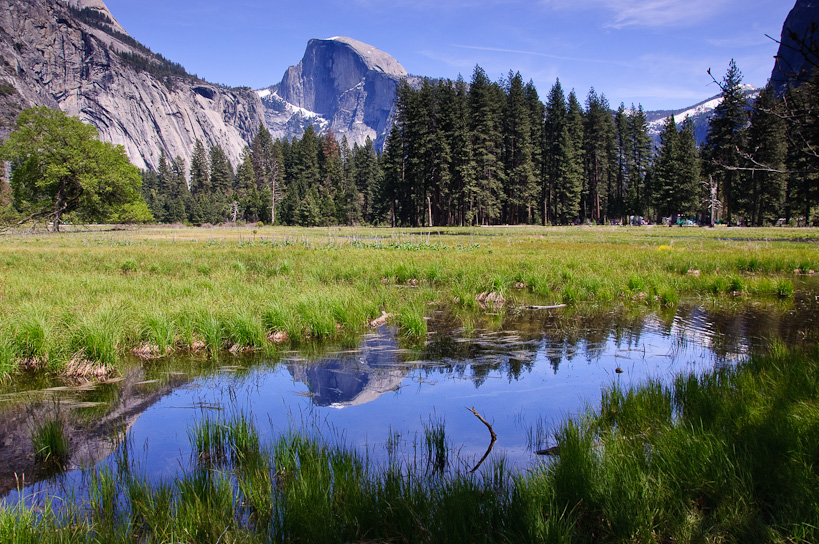 Half Dome from Cook Meadow