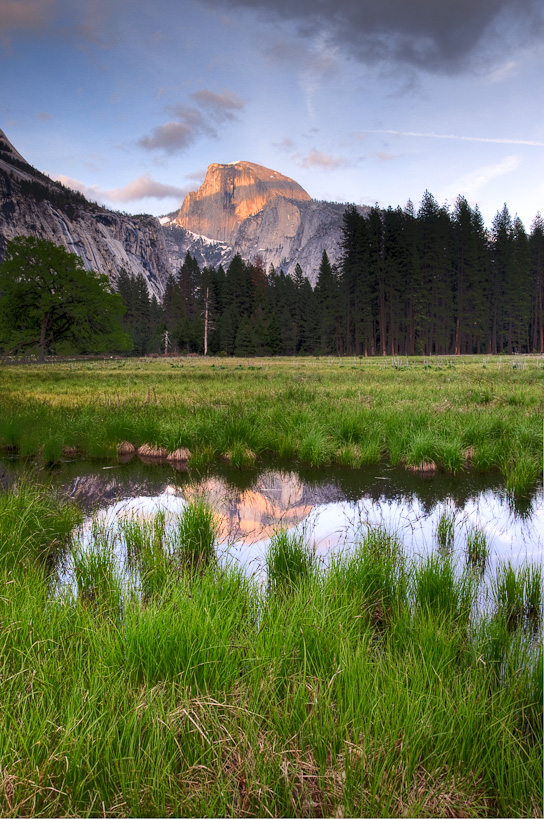 Sunset on Half Dome from Cook Meadow