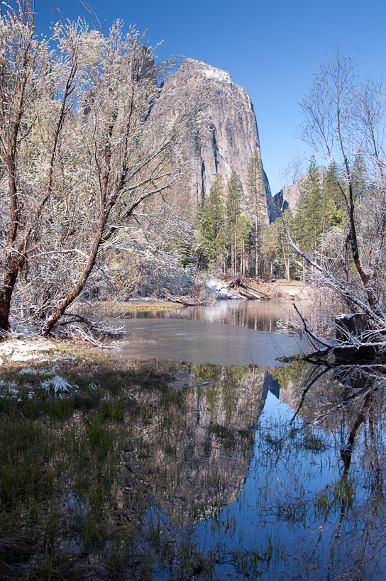 Cathedral Rocks