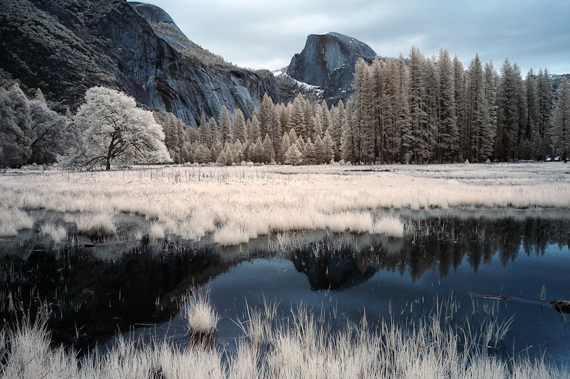 Half Dome from Cook Meadow