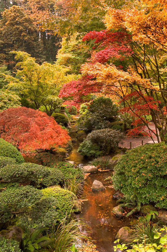 Portland Japanese Garden