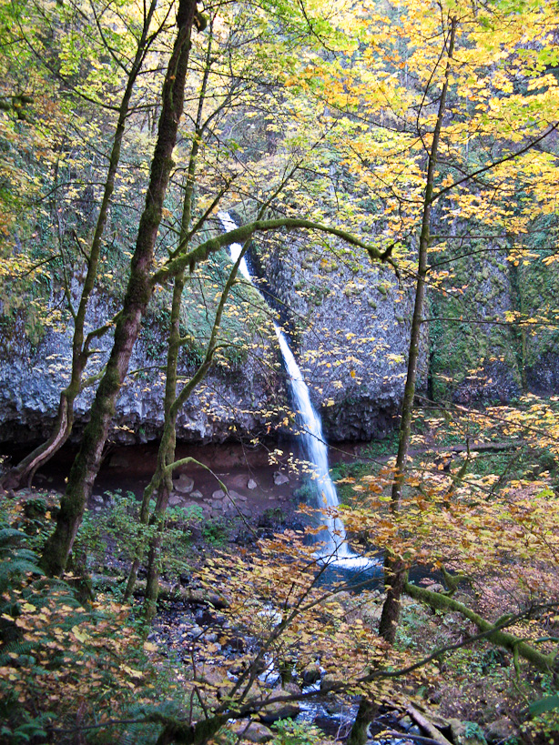 Ponytail Falls