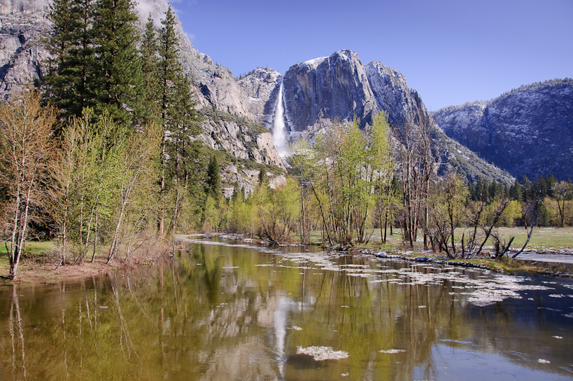 Ice on Merced River with Yosemite Falls